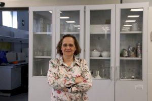 Set investigadores de la UPV, entre les millors científiques d'Espanya - (foto 8)