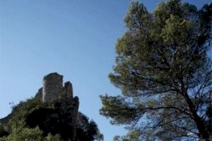 El Porrat de Sant Macià ofereix exposicions i visites guiades - (foto 2)