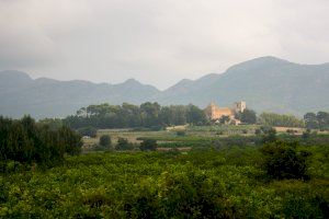 El Porrat de Sant Macià ofereix exposicions i visites guiades - (foto 5)