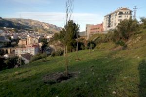 L’Ajuntament d’Alcoi aposta per reforestar la ciutat amb 2.000 exemplars