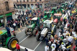 Los agricultores alicantinos preparan una gran tractorada el próximo martes