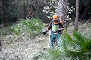 Las brigadas de Diputació acondicionan 36.000 m2 en Alzira para prevenir incendios y conectar dos núcleos de población