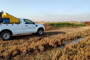 Nules realitza actuacions de prevenció de mosquits de cara als mesos estivals - (foto 2)