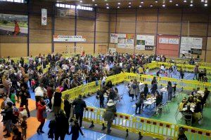 Los colegios educativos de Onda celebran un novedoso Carnaval comprometido con el medio ambiente