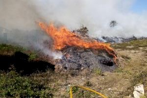 Xicotet incendi a la Marjal de Gandia - (foto 2)