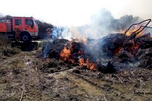 Xicotet incendi a la Marjal de Gandia - (foto 3)