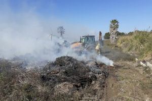 Xicotet incendi a la Marjal de Gandia - (foto 5)