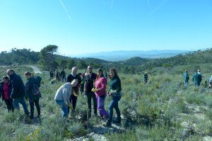 La Falla Convento Jerusalén inicia la plantació de 1.000 arbres a Llíria