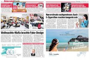 La Diputación refuerza la promoción turística de Castellón en Austria y Francia para la campaña de Semana Santa - (foto 4)