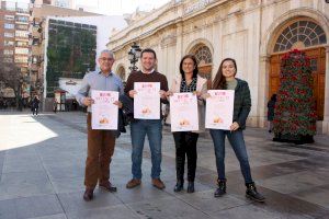 Castelló suma a 13 clínicas veterinarias a la campaña pública de esterilizaciones