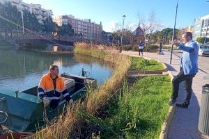 El Ayuntamiento de Peñíscola avanza en las tareas de rutina de desbroce del marjal y la zona del Ullal