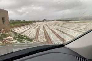 Cada agricultor valenciano afectado por la DANA recibirá 8.000 euros