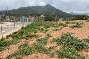 El PSPV-PSOE d’Onda reclama millores per al parc caní del carrer Segorbe