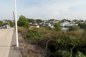 Medi Ambient condiciona la zona verda del carrer Badajoz