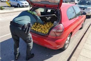 Detenidos por estafar miles de euros a agricultores alicantinos