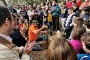 Desenes de persones participen en la reforestació popular de la Muntanyeta d'Alberic