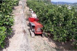 Alzira enceta la campanya de trituració de restes de poda