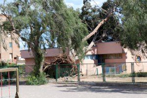 Diversos sostres arrancats i arbres caiguts en col·legis de Sagunt obliguen a extremar l'alerta