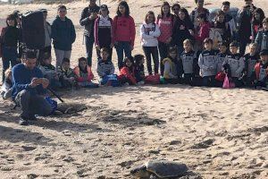 Escolars d’Ontinyent participen de la solta d’una tortuga recuperada per l’Arca del Mar de la Fundació Oceanogràfic