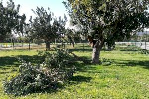 Paterna pone en marcha el dispositivo especial de emergencia ante las fuertes rachas de viento