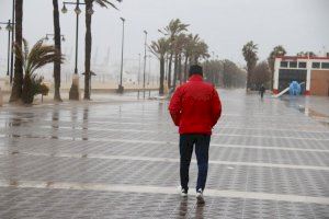 El vendaval obliga a tancar el port de València, parcs, jardins i cementeris