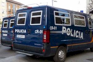 Encuentran a tres corderos con las patas atadas en el maletero de un coche de Valencia