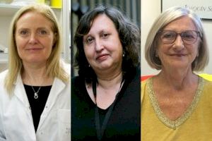 Coneix a les investigadores valencianes més influents