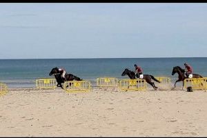 L’Associació Amics del cavall organitza les XV Carreres de Cavalls Memorial Inma Masquefa en la Platja d’Oliva