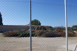 L´Alqueria fa compost amb més de 400 m3 de restes de poda - (foto 2)