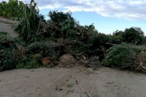 L´Alqueria fa compost amb més de 400 m3 de restes de poda - (foto 3)