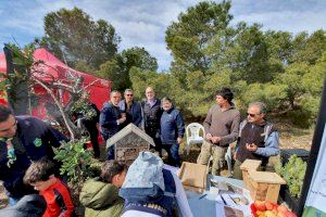 El Ayuntamiento y Enamorados de Alicante plantan más de 2.000 árboles y arbustos autóctonos en monte Orgegia