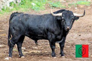 Imponente corrida de Adolfo Martín para Castellón