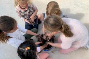 Escolars del Poble Nou de Benitatxell planten pins i garroferes en el Dia de l'Arbre per a reforestar una zona verda