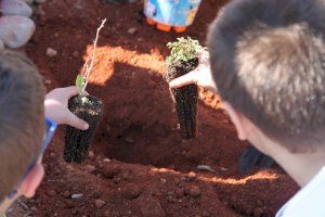 El Día del Árbol en el Paisaje Protegido de la Desembocadura del río Mijares une a niños y mayores - (foto 2) El Día del Árbol en el Paisaje Protegido de la Desembocadura del río Mijares une a niños y mayores - (foto 2)
