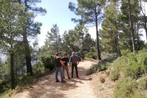 Nous treballs de millora de la massa forestal a Serra Bèrnia