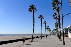 Alboraya amplía sus medidas preventivas por el coronavirus y cierra playas y parques