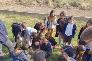 Alumnat del col·legi L'Encarnació, amb la col·laboració de l'Ajuntament, reforesten diverses zones de la ciutat