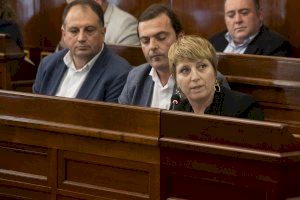 El PP demana reforçar l'atenció a majors i depenents