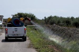 La Diputación mejora el ‘Plan Provincial Contra los Mosquitos’ en el que en 2020 invertirá 1 millón  de euros