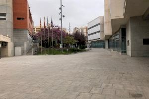 San Vicente abre una línea de ayudas a familias vulnerables ante la crisis del Covid-19