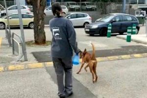 Paterna aumenta los servicios del Refugio Animal y autoriza a sus voluntarios