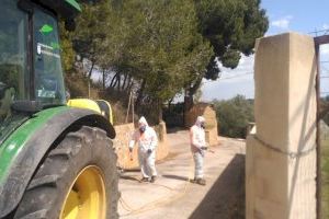 El Ayuntamiento de Torrent simplifica y facilita la obtención del certificado de padrón, necesario para gestionar la moratoria hipotecaria - (foto 2) El Ayuntamiento de Torrent simplifica y facilita la obtención del certificado de padrón, necesario para gestionar la moratoria hipotecaria - (foto 2)