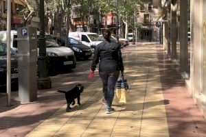 Xàtiva recomienda a los propietarios de perros que eviten las zonas recientemente desinfectadas