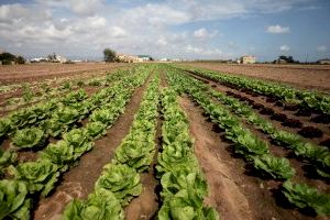 LA UNIÓ pide a Delegación del Gobierno que transmita a Fuerzas y Cuerpos de Seguridad del Estado y Ayuntamientos cuáles son las labores imprescindibles para ejercer la actividad agropecuaria