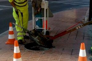 La 1ª campaña de desinsectación en l’Alfàs será el lunes 6 de abril