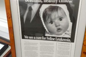 "La próxima vez que te enfermes, más te vale ir al veterinario!" - (foto 9)