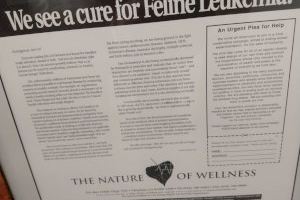 "La próxima vez que te enfermes, más te vale ir al veterinario!" - (foto 10)