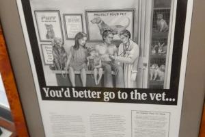 "La próxima vez que te enfermes, más te vale ir al veterinario!" - (foto 11)