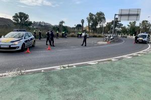 La Policía Local cierra los parques Caninos de Alicante para hacer frente al COVID - (foto 2)