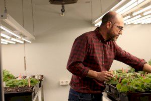 Un equipo de investigación internacional hace público el genoma de la planta biofactoría Nicotiana benthamiana para ayudar a combatir el COVID-19